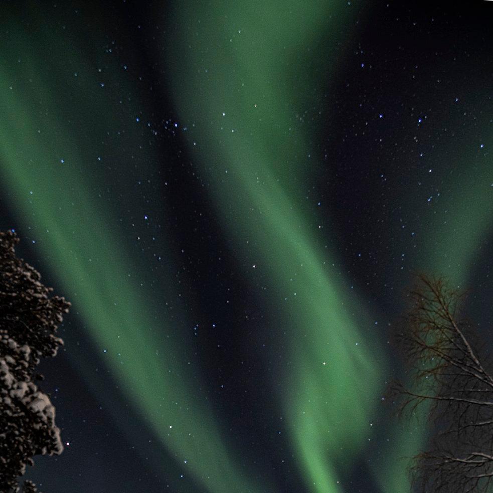 Northern Lights safari | booking